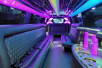 Arcadia Limo Interior